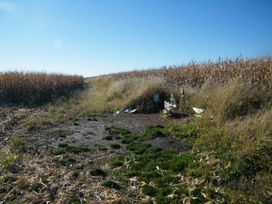 Iowa weekend 086